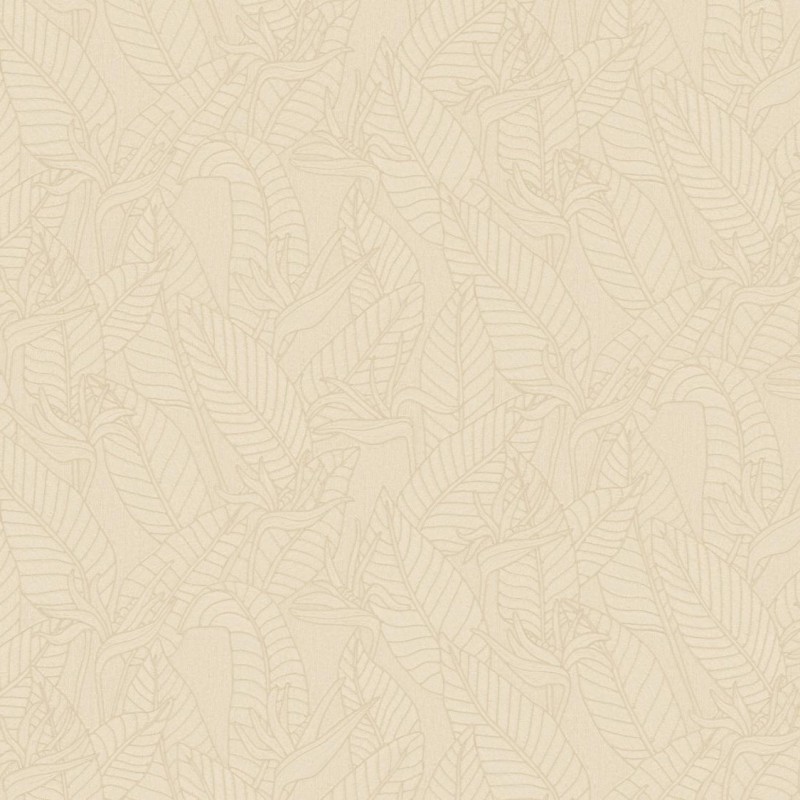 Arte | Tali | Strelitzia I
