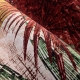 Arte | Décors & Panoramiques | Yasuni