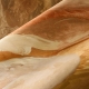 Arte | Décors & Panoramiques | Zerzura | 74062A