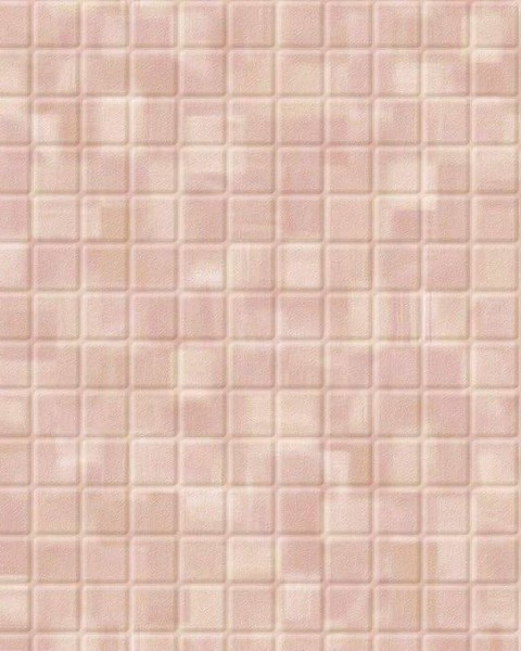 Toli / Toilet Floor / BNR3201