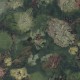 BN Walls / Van Gogh 2019 / Flowers 220001