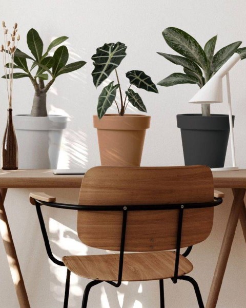 POT STICKER Flowerpot Sticker | Terracotta
