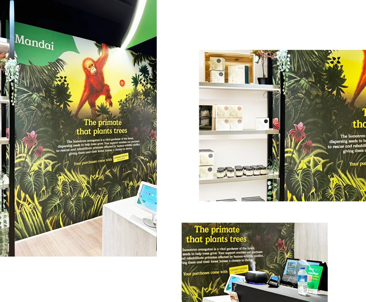 Singapore Zoo Perfect and Precision Wallpaper Installation