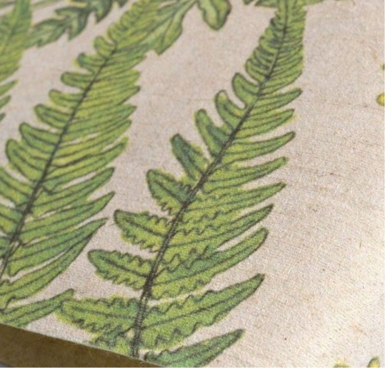 Tropical nature detail texture