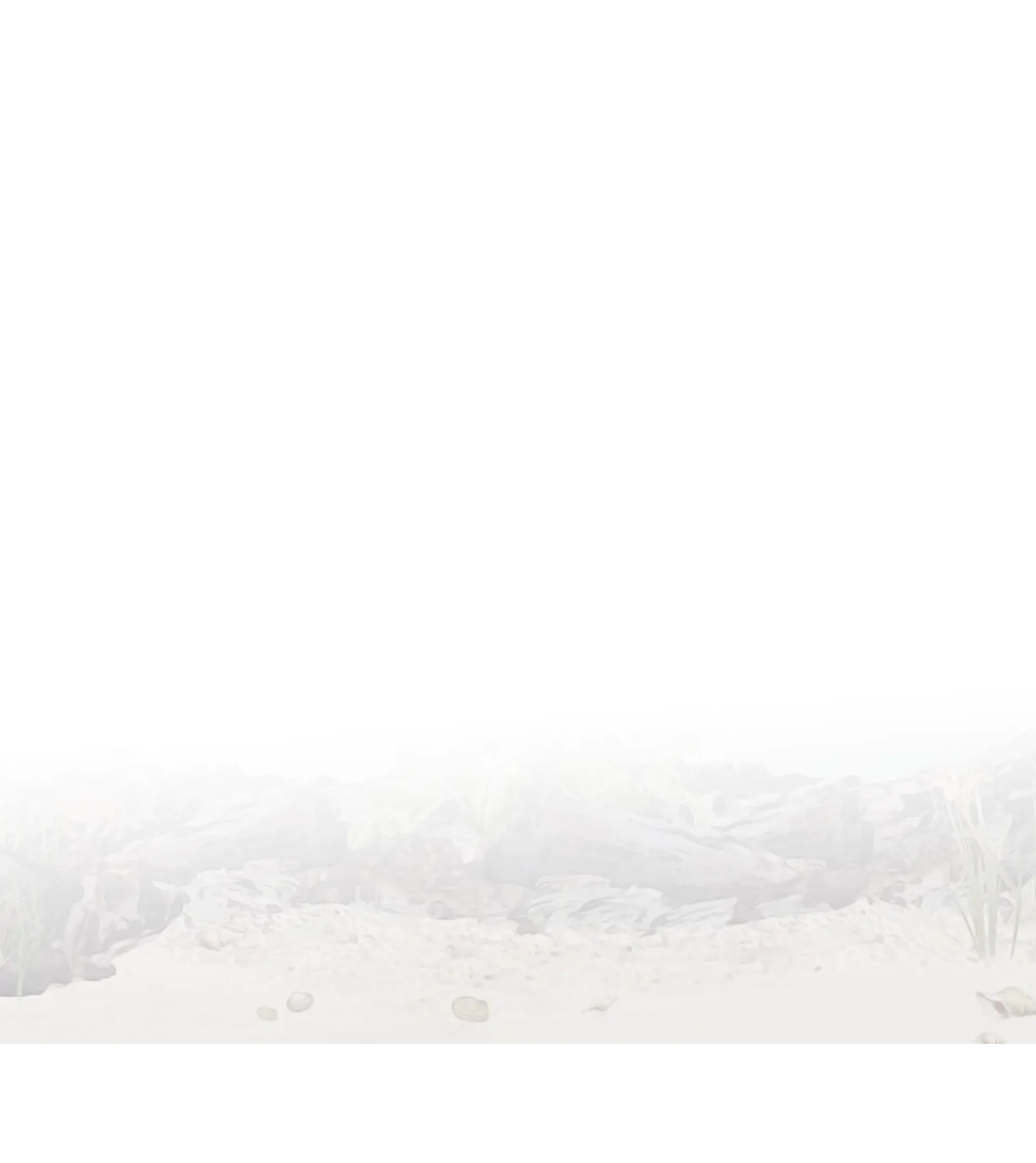 sea water background