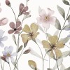 Rimura | Lovely  
