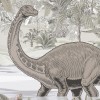 Rimura | Dinosafari