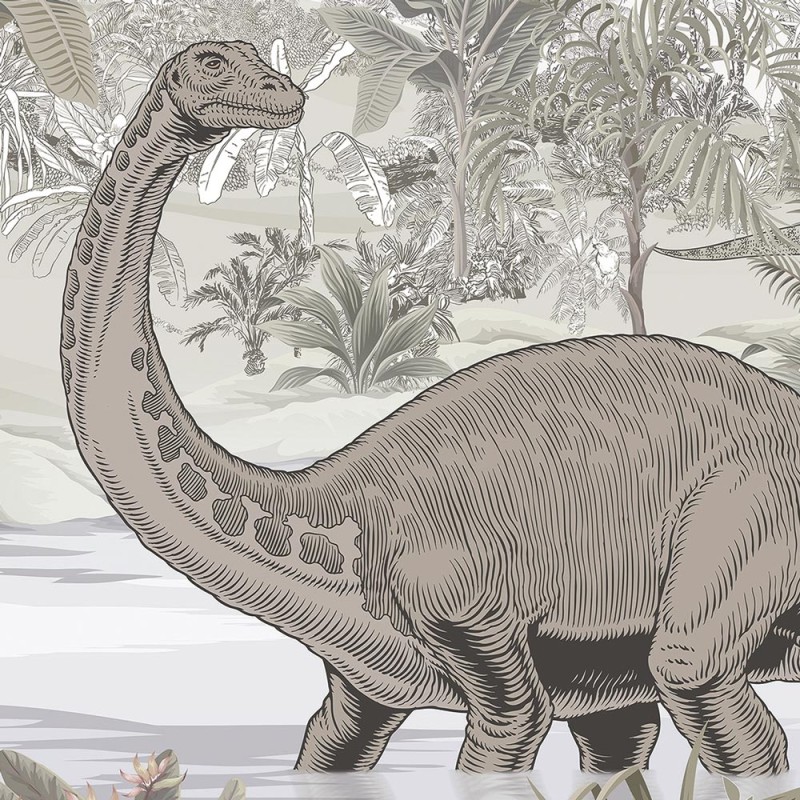 Rimura | Dinosafari