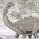 Rimura | Dinosafari