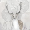 Rimura | Bosco Fatato