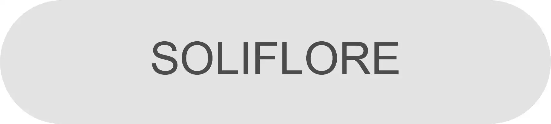 Soliflore Wallpaper Collection