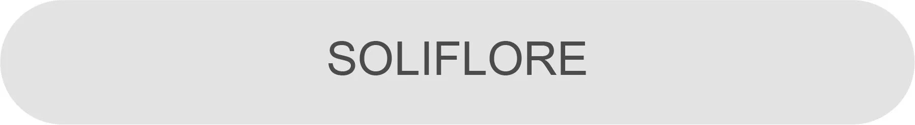 Soliflore Wallpaper Collection