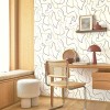 Casadeco | Color Game | Maze