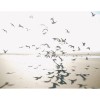 Casadeco | Seaside | Houlgate