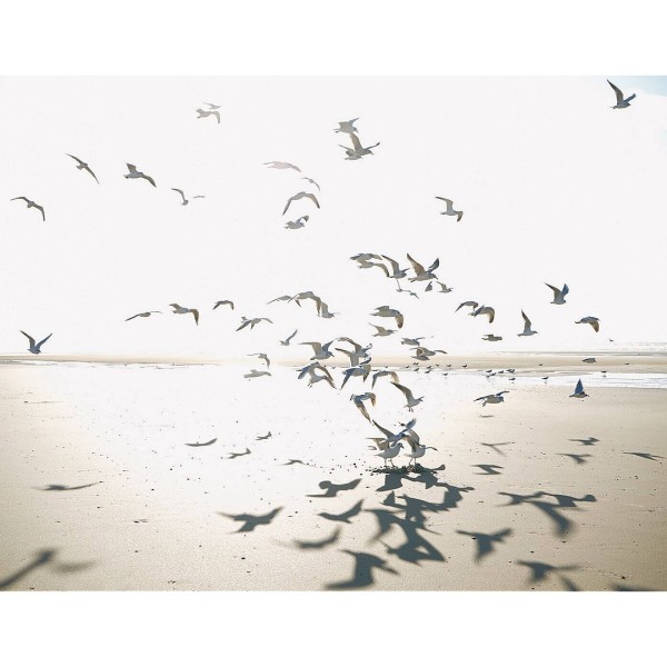 Casadeco | Seaside | Houlgate