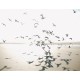 Casadeco | Seaside | Houlgate