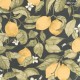 Casadeco | Soliflore | Lemon Tree