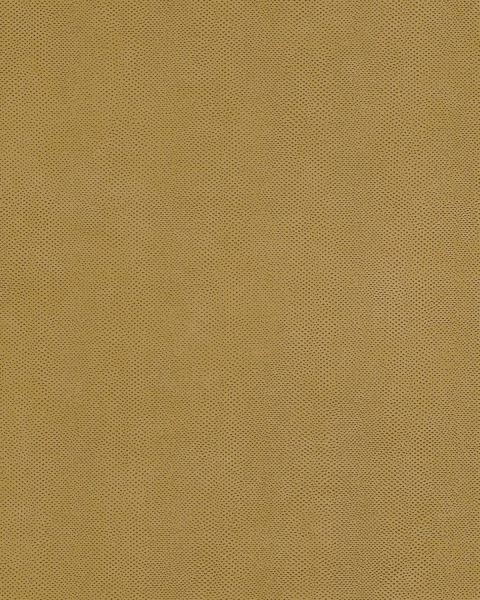 Casadeco | Leathers | Galuchat II