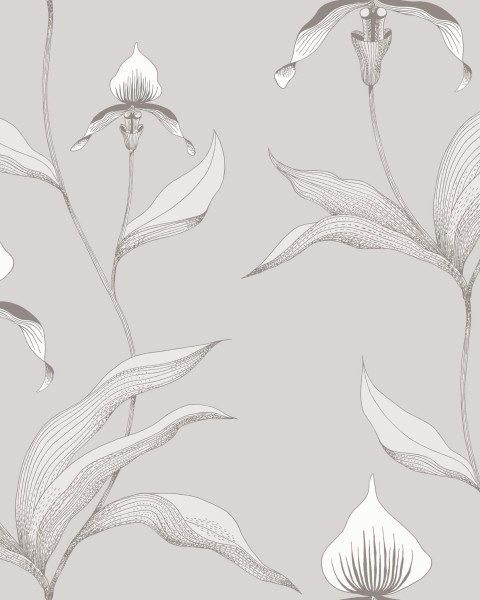 Cole & Son / Contemporary Restyled / Orchid 95-10055