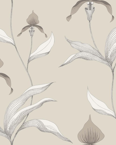 Cole & Son / Contemporary Restyled / Orchid 95-10058