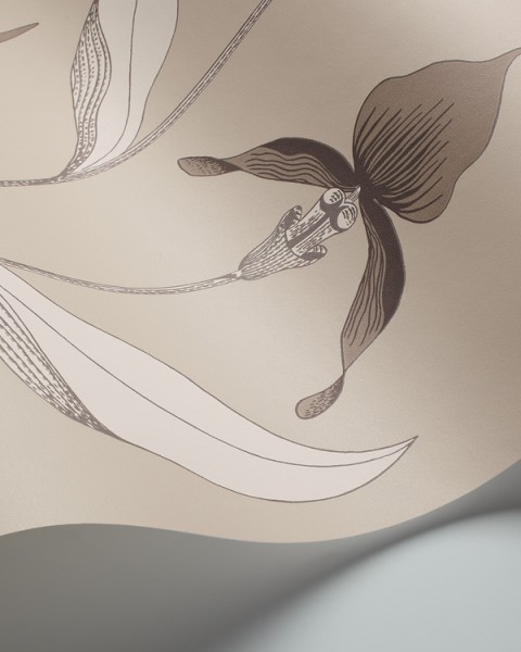 Cole & Son / Contemporary Restyled / Orchid 95-10058