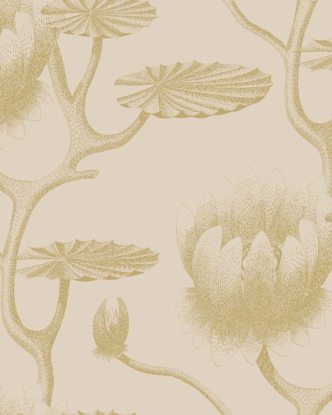 Cole & Son / Contemporary Restyled / Lily 95-4019