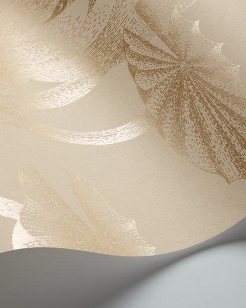Cole & Son / Contemporary Restyled / Lily 95-4019