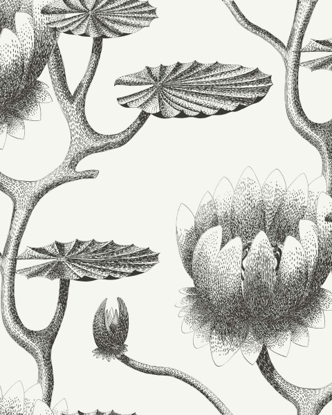 Cole & Son / Contemporary Restyled / Lily 95-4020