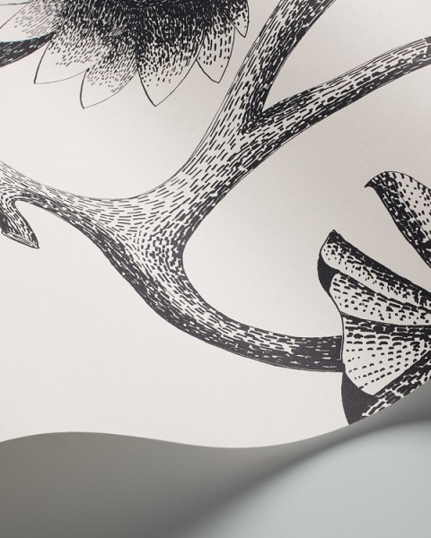 Cole & Son / Contemporary Restyled / Lily 95-4020
