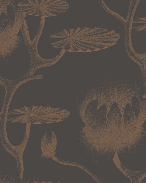 Cole & Son / Contemporary Restyled / Lily 95-4021