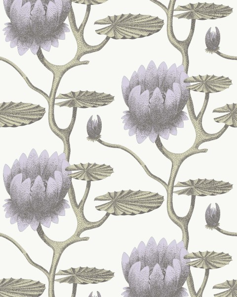 Cole & Son / Contemporary Restyled / Summer Lily 95-4023