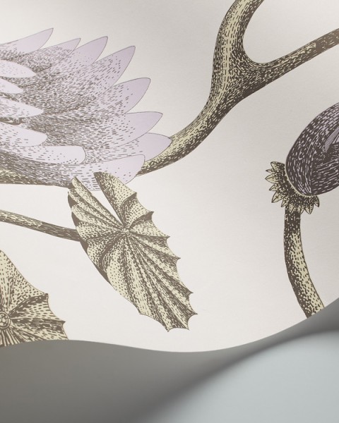 Cole & Son / Contemporary Restyled / Summer Lily 95-4023