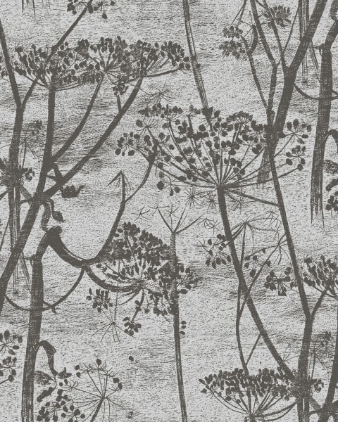 Cole & Son / Contemporary Restyled / Cow Parsley 95-9050