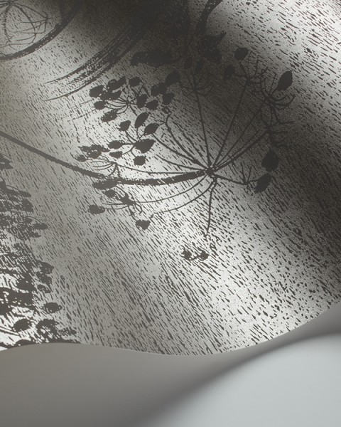 Cole & Son / Contemporary Restyled / Cow Parsley 95-9050