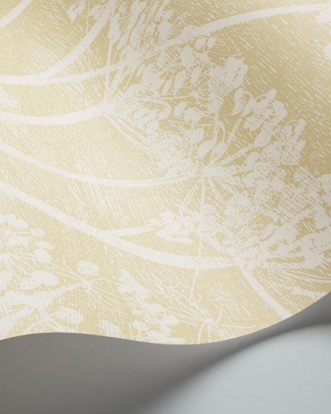 Cole & Son / Contemporary Restyled / Cow Parsley 95-9053