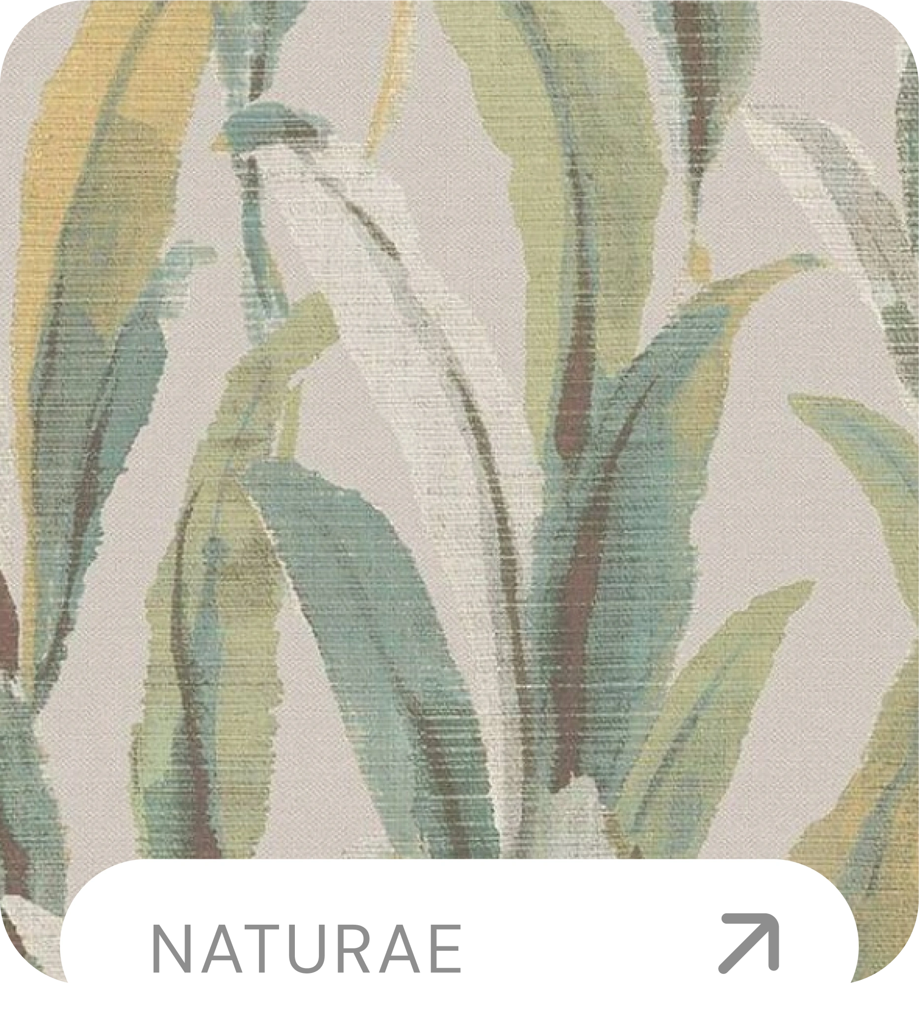 nature wallpaper design