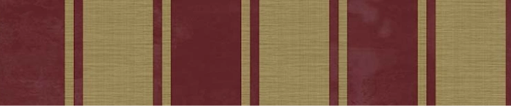 Red gold pattern stripe