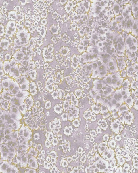 ARCHIPELAGO | FE08101