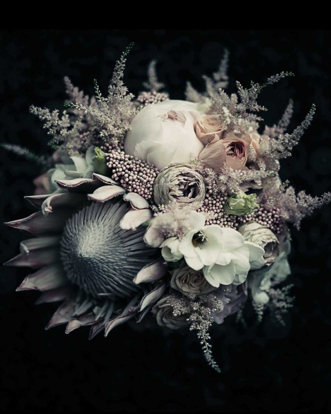 Botanics IV | LF010A