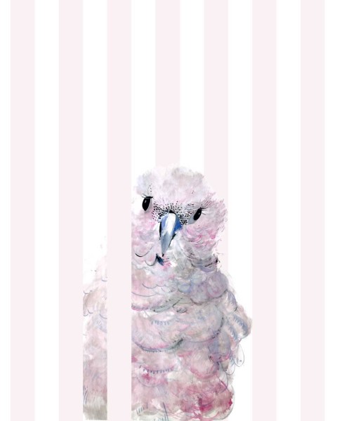 Cockatoo Stripe | FE02101 