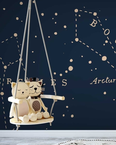 Great Bear Little Lion - I | FE04101