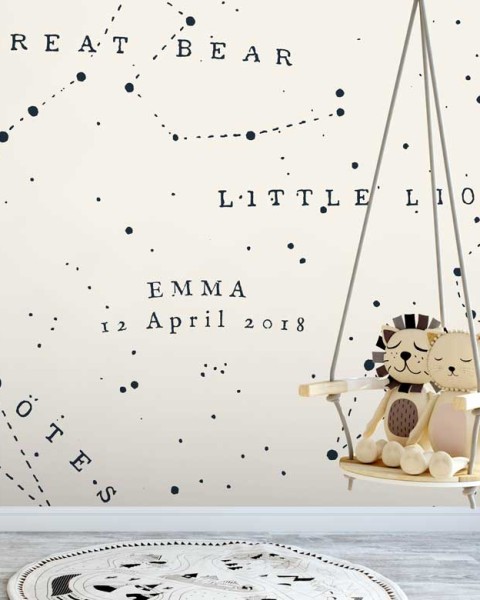 Great Bear Little Lion | FE04101