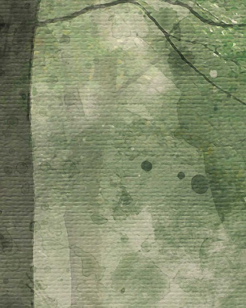 In the Glade | LF006A