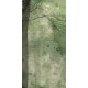 In the Glade | LF006A