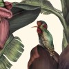 Jungle Kingdom | FE14001