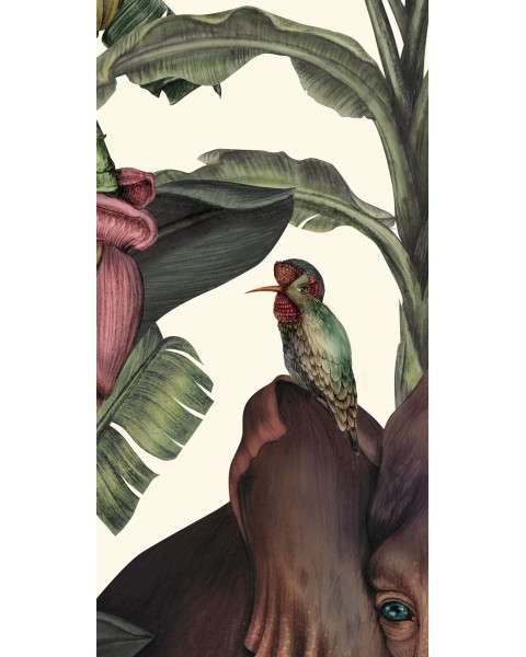 Jungle Kingdom | FE14001