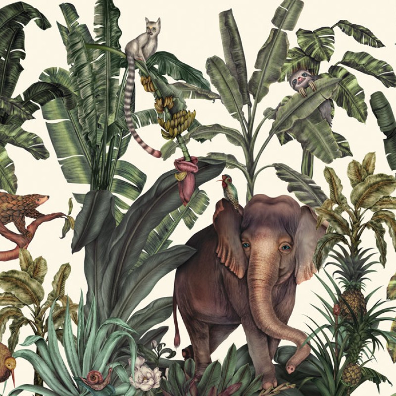 Jungle Kingdom | FE14001
