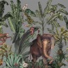 Jungle Kingdom | FE14001