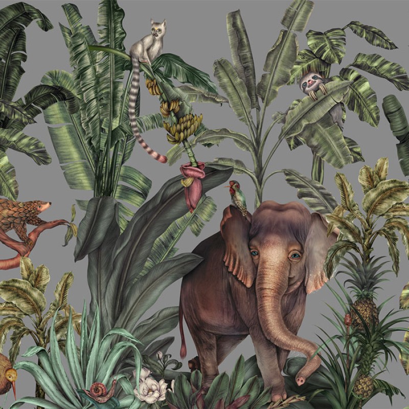 Jungle Kingdom | FE14001