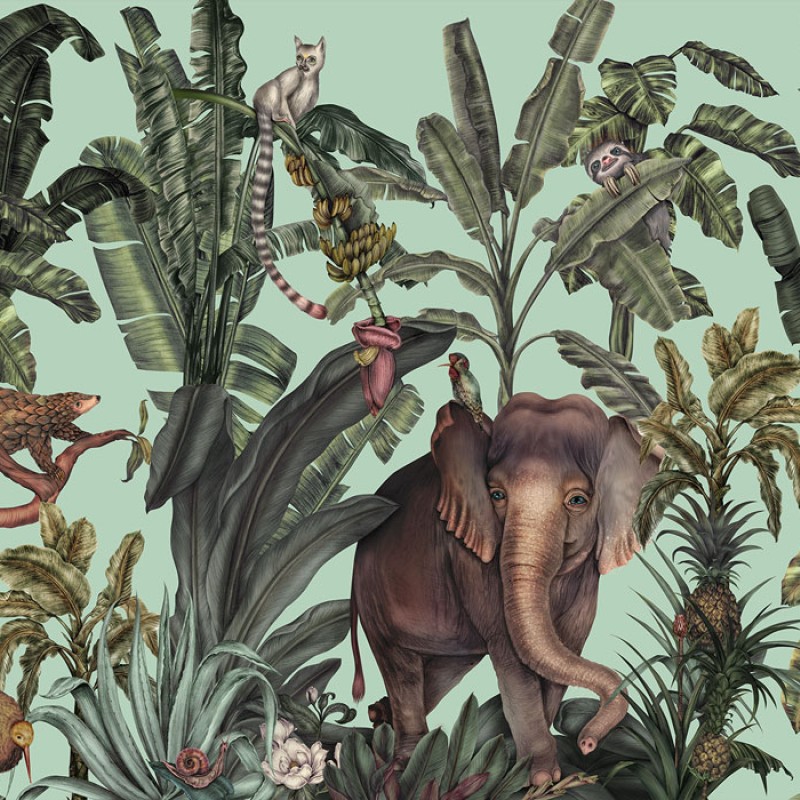 Jungle Kingdom | FE14001